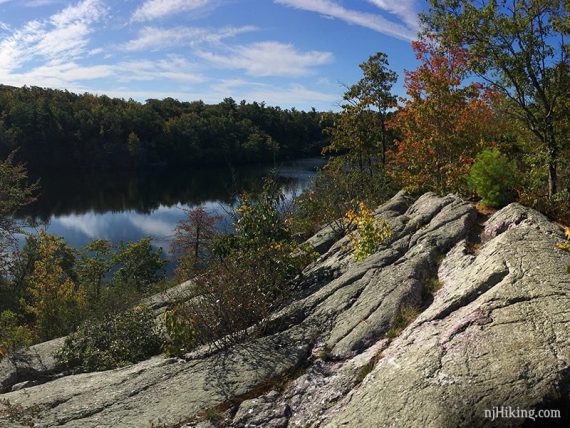 A pond with a large rock slabs and small trees in the foreground.