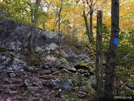 Trail with many small rocks and a blue marker on a tree