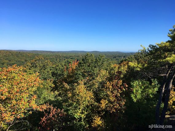 Wide view over green trees with low hills in the distance