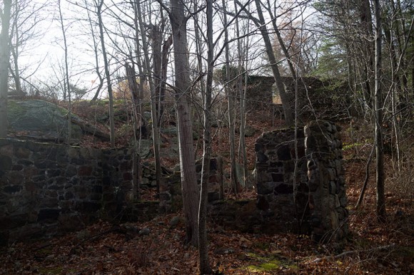 Stone building remains with trees growing around it.