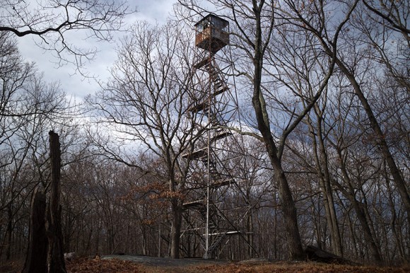Jackie Jones Fire Tower.