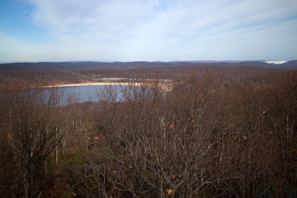 View from Jackie Jones Fire Tower.