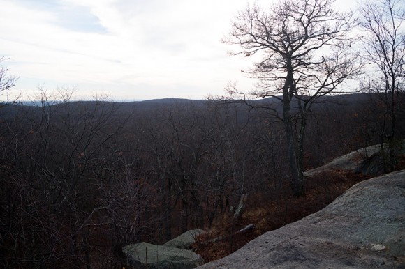 View from Big Hill shelter.