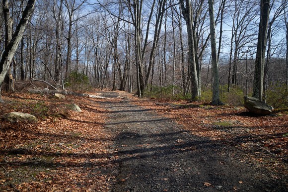 Wide gravel trail.