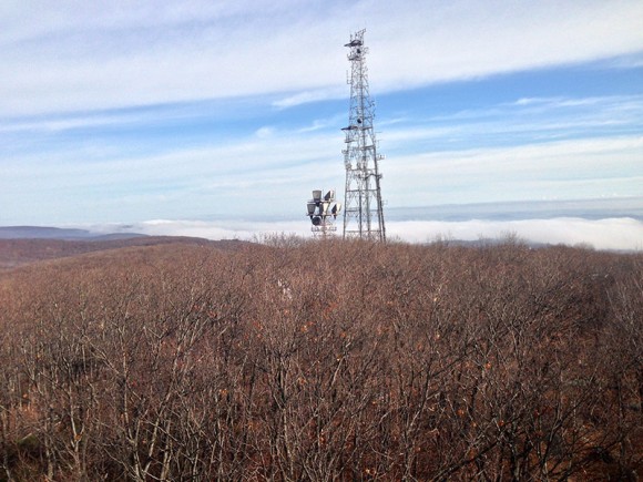 View from Jackie Jones Fire Tower.