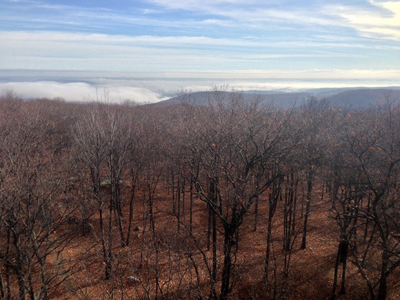 Jackie Jones Fire Tower