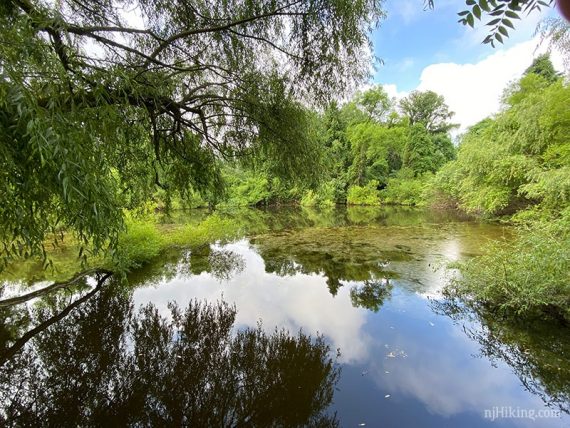 Small pond.