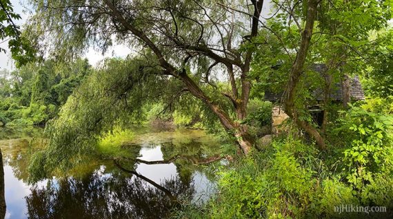 Pond and small stone building.