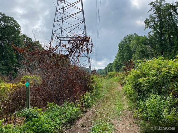 Power tower and trail next to it.