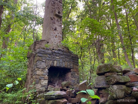 Remains of a stone chimney.