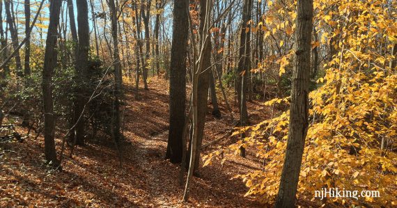 Huber Woods Park.