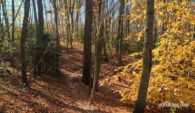 Huber Woods Park