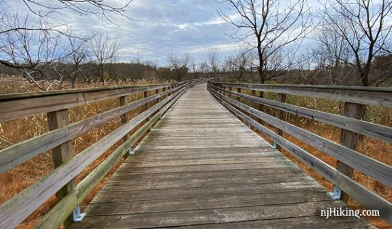 Thompson Park - Monmouth