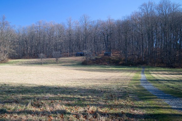 Soldier's Huts on a hill in the distance at Jockey Hollow.