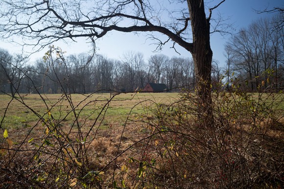 Wick House seen across a field at Jockey Hollow.