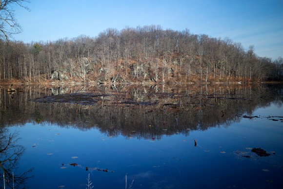 Ghost Lake surrounded by leafless tress