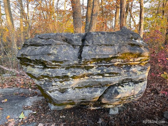 Glacial erratic with horizontal ridges at Jenny Jump.