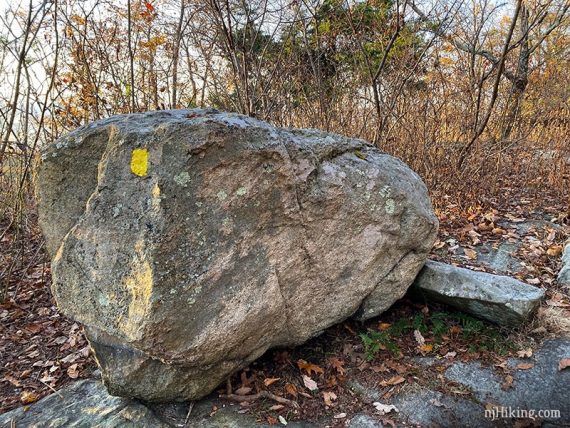 Glacial erratic with a yellow Summit Trail marker painted on it.