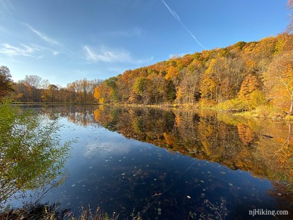 Bright yellow and orange foliage reflected in Ghost Lake.