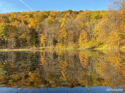 Kickin' foliage at Ghost Lake