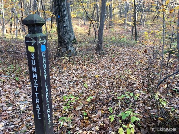 Marker post for Summit and Ghost Lake trails.