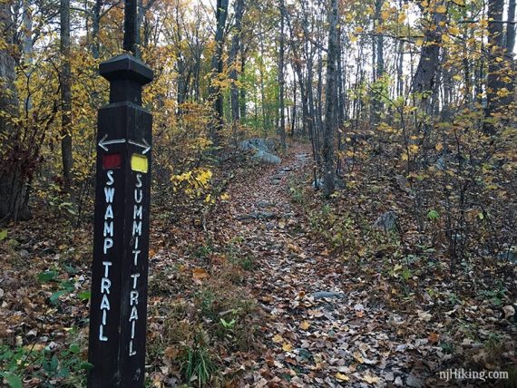 Swamp and Summit trail intersection marker post.