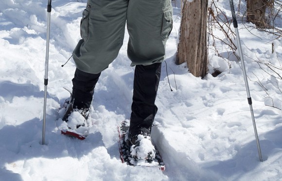 Hiker snowshoeing on a trail and using trekking poles.