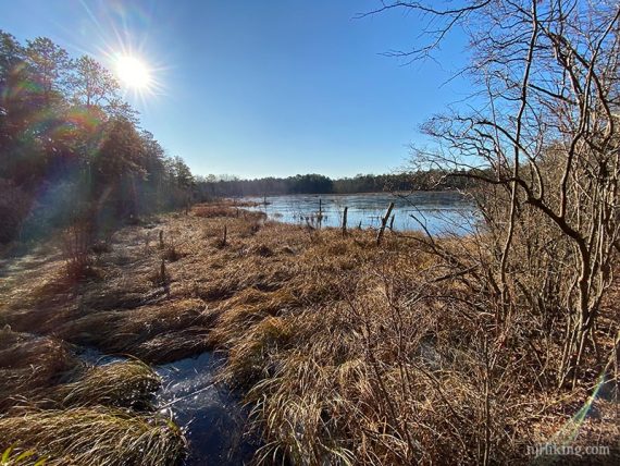 Sunlight streaming over a frozen bog.