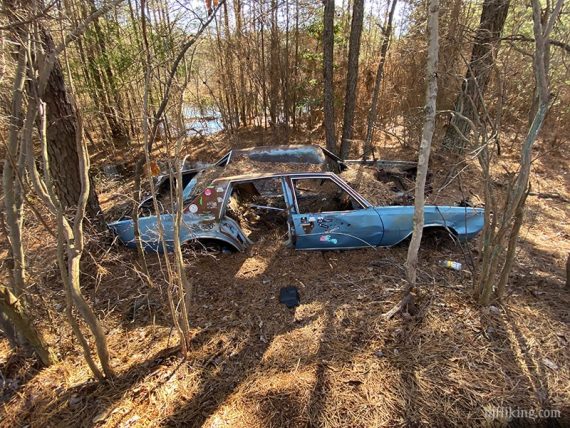 Old blue car left in the woods.