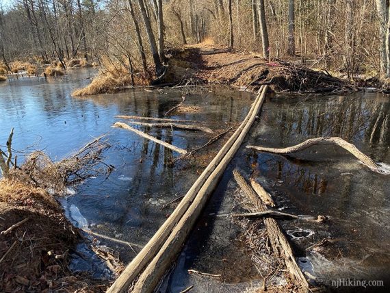 Two skinny tree trunks place as a bridge over water.