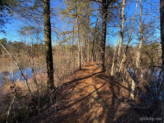 Trail on a berm with bogs on either side.