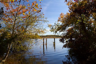 Maurice River Bluffs in the Fall