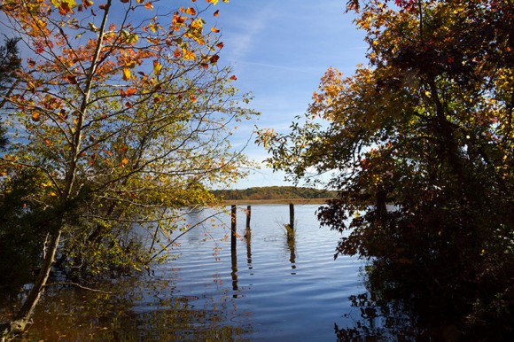 Maurice River with fall foliage surrounding it.