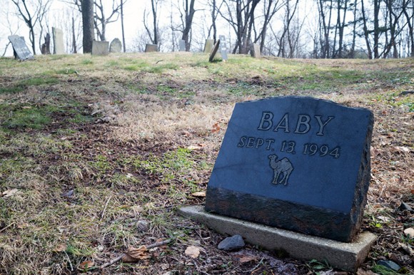 Baby the Camel headstone in the pet cemetery.