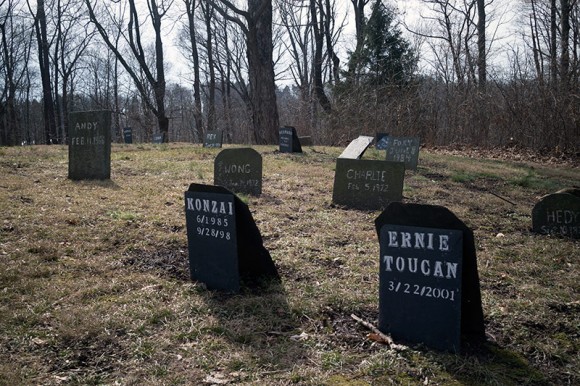 Duke Farms pet cemetery.