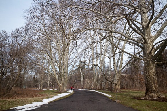 Paved path near the Hay Barn.