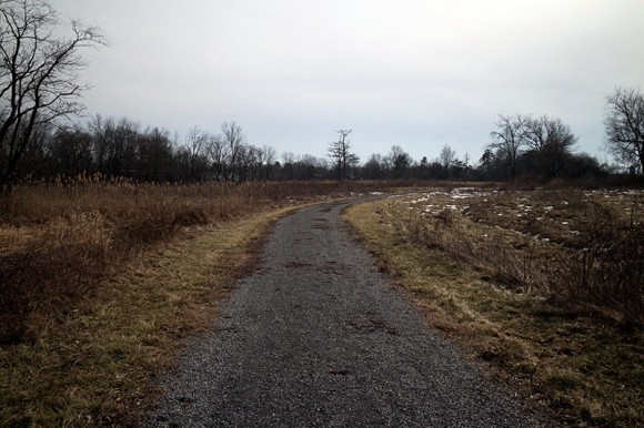 Gravel path with a field on either side.