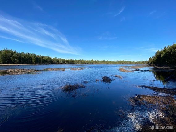 Batsto Lake