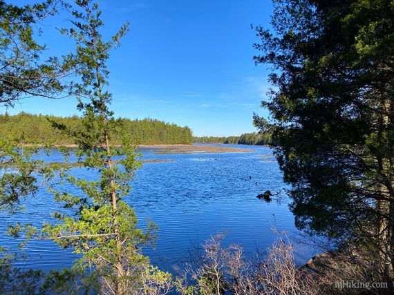 Bright blue water of Batsto Lake.