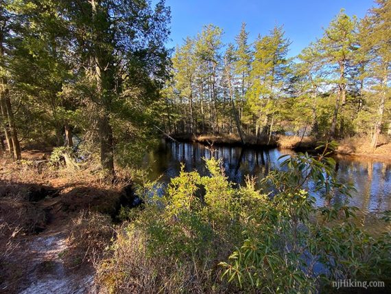 View of Batsto River