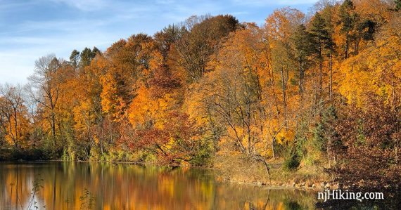 Brilliant orange and yellow leaves reflected in a pond.