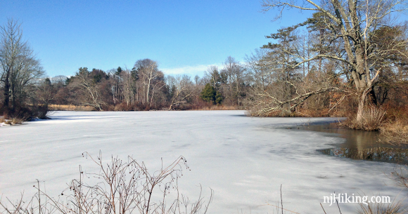 Frozen pond at Duke Farms.