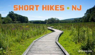 Short Hikes in NJ
