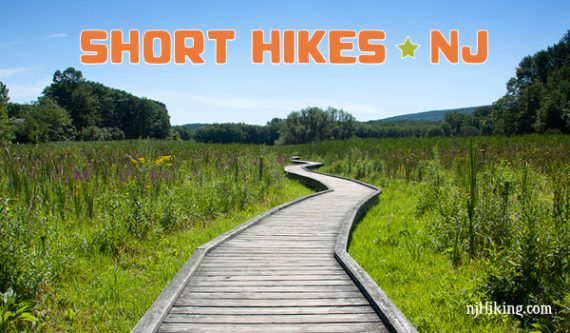 Short Hikes in NJ