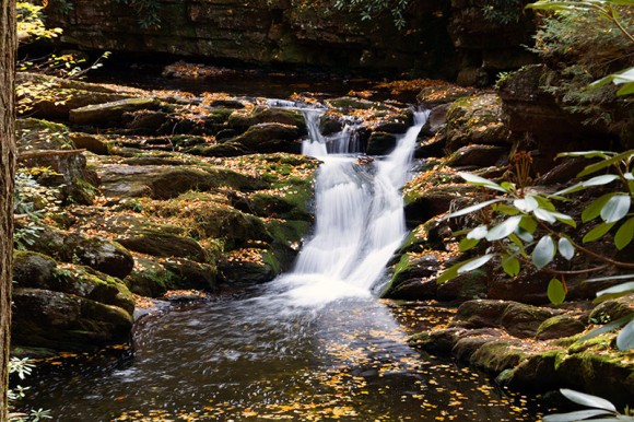 Van Campens Glen waterfall tumbling over moss covered rocks.