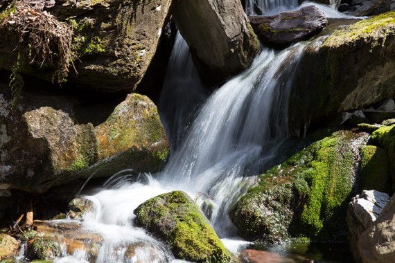 Cascade along Coppermines side trail