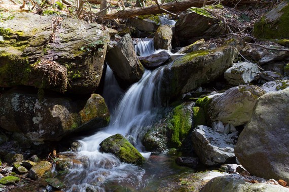 Cascade along Coppermines side trail.