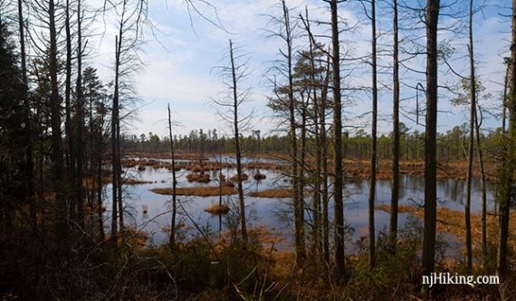 Mullica River