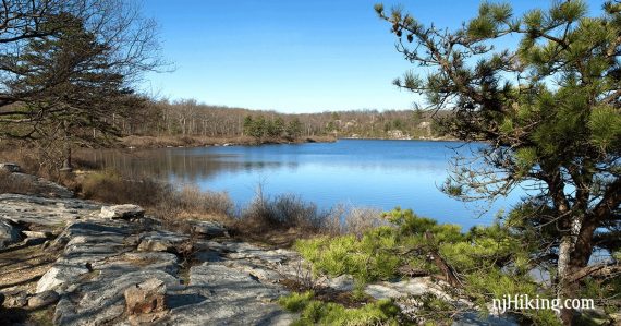 Bright blue Crater Lake with rocks and a pine tree in the foreground.