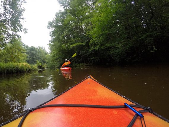 Kayaker navigating a narrow stream surrounding by green trees.